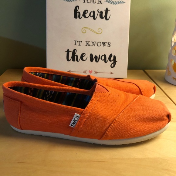 TOMS - Picture 7 of 7